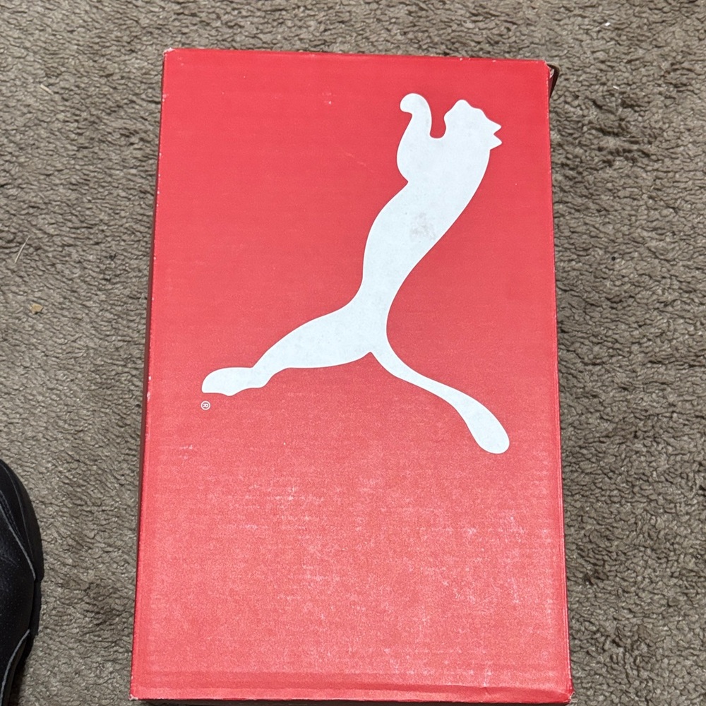 Puma Red Shoe Box with White Logo